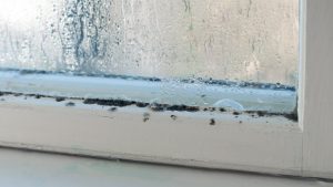 condensation removal
